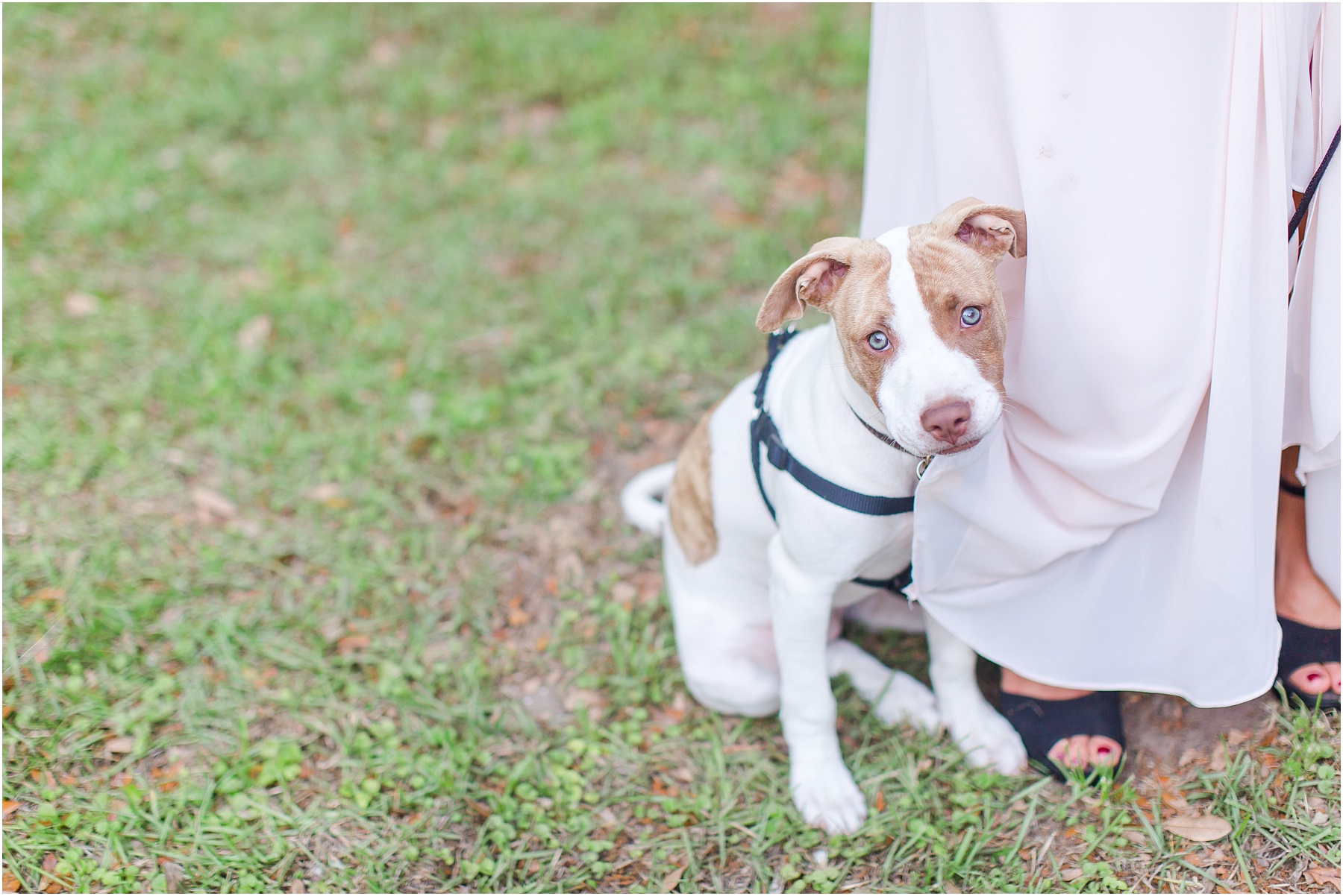 Charleston Wedding Photographer