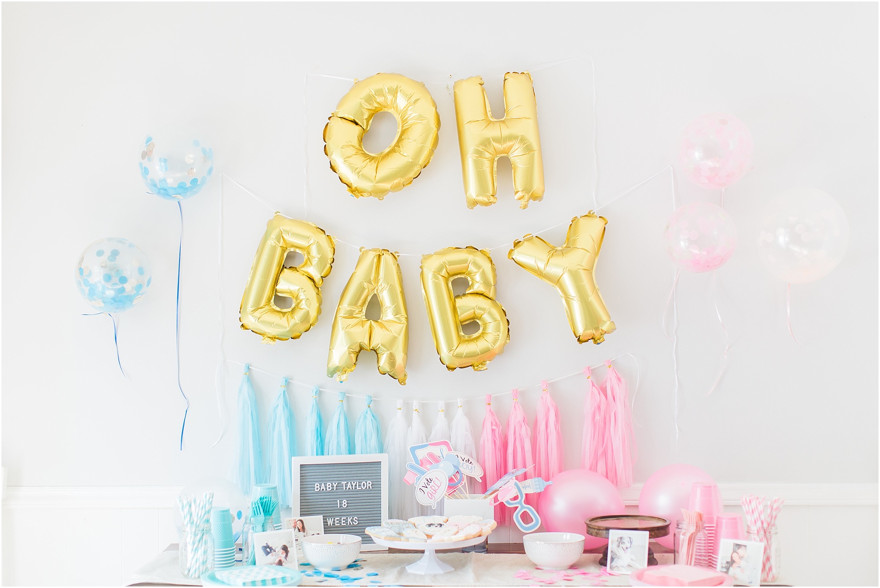 Baby Gender Reveal Party Pink or Blue Decorations