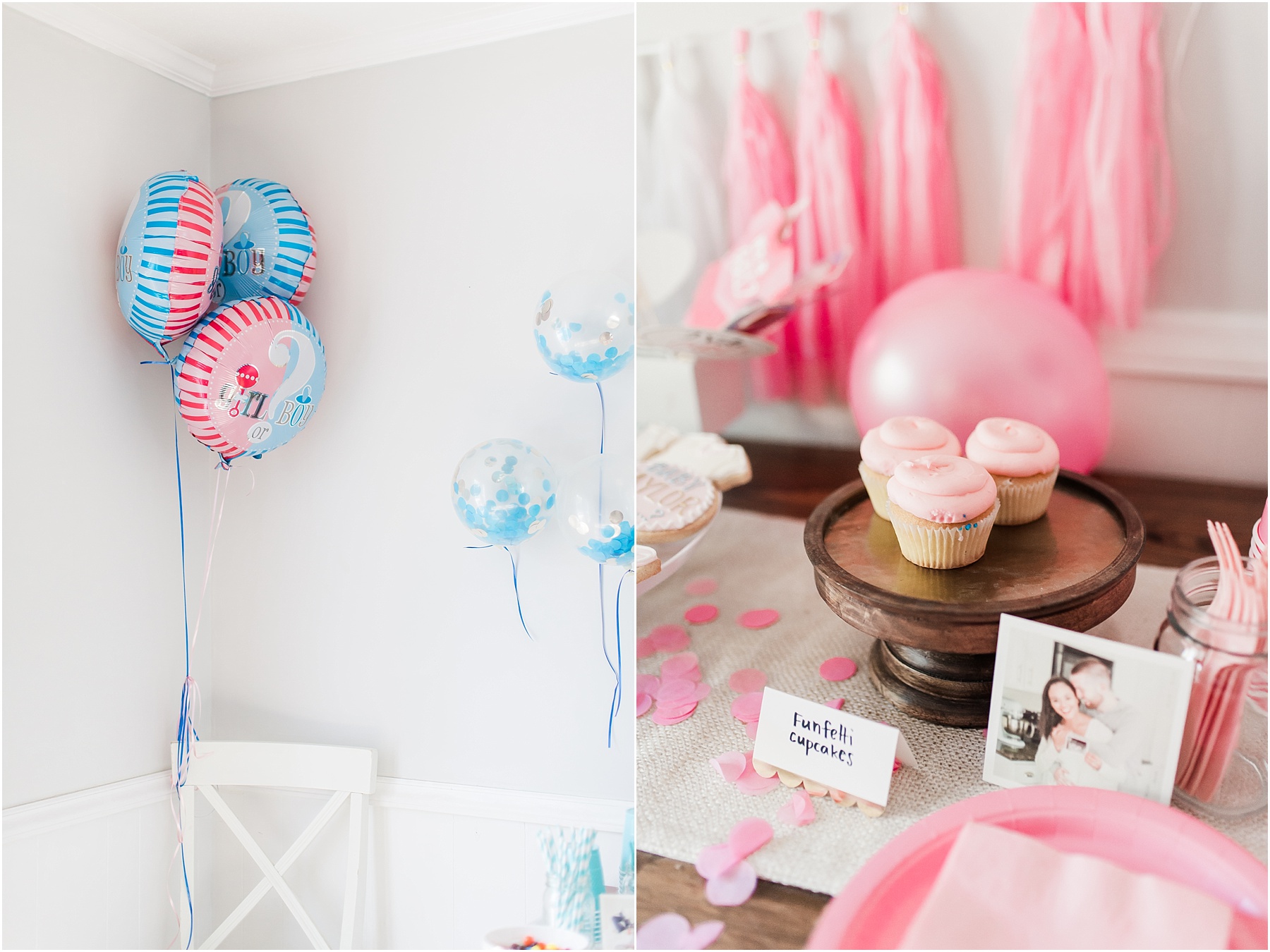 Baby Gender Reveal Party Pink or Blue Decorations