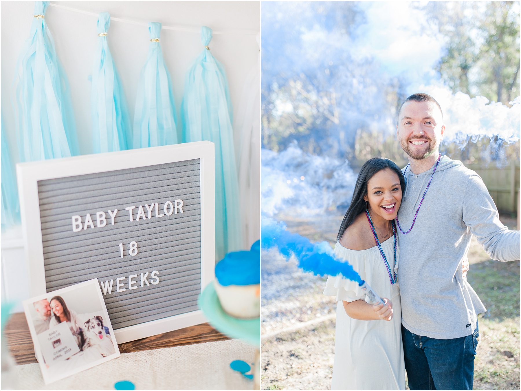 Baby Gender Reveal Party Pink or Blue Decorations