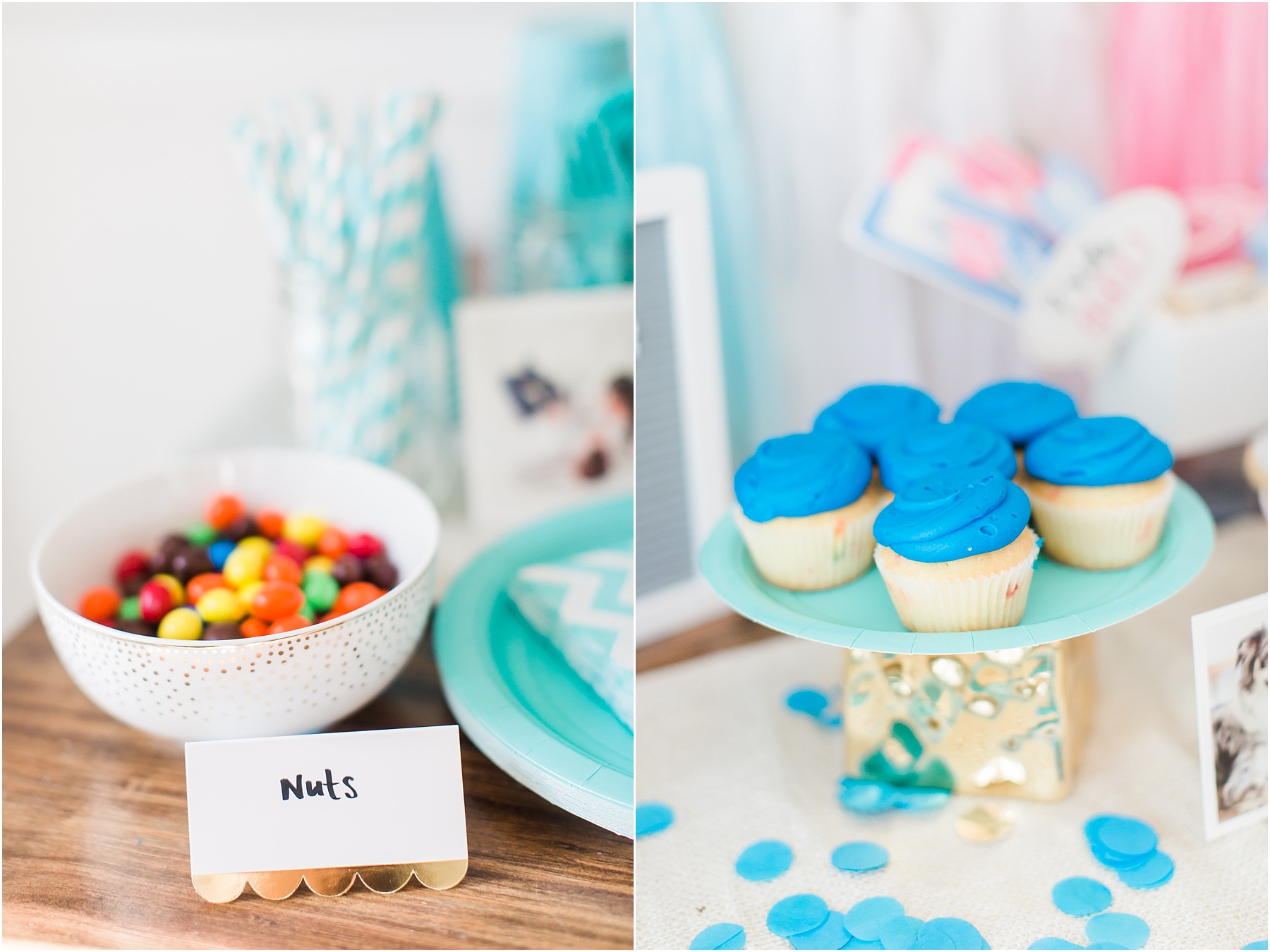 Baby Gender Reveal Party Pink or Blue Decorations