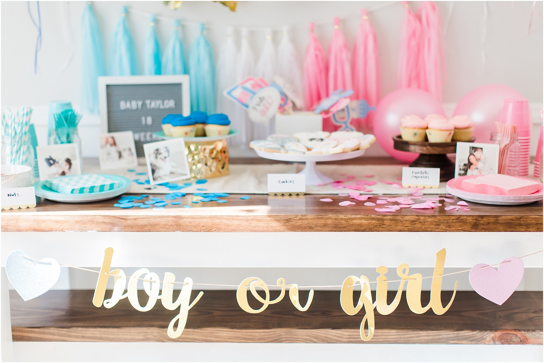 Baby Gender Reveal Party Pink or Blue Decorations