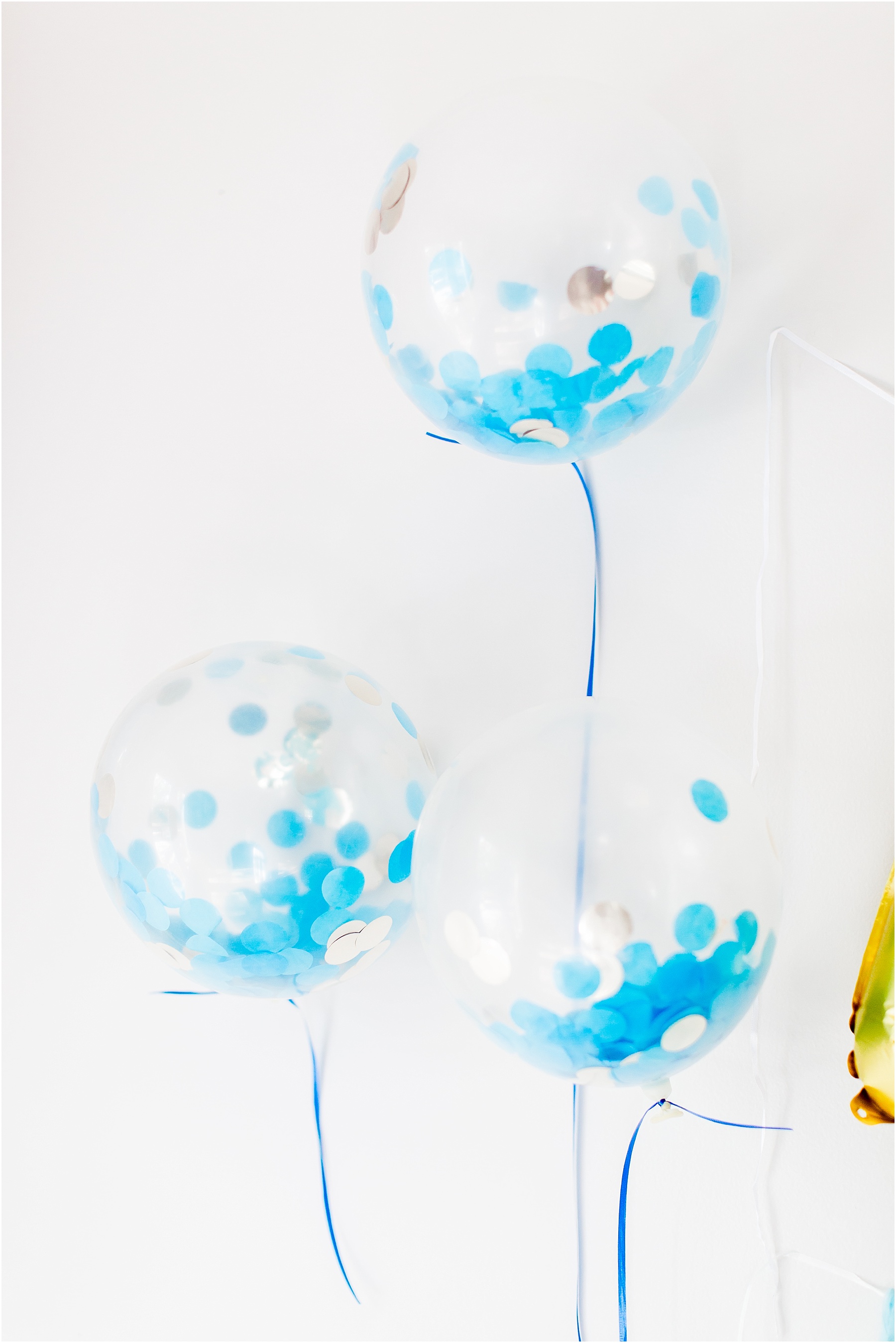 Baby Gender Reveal Party Pink or Blue Decorations