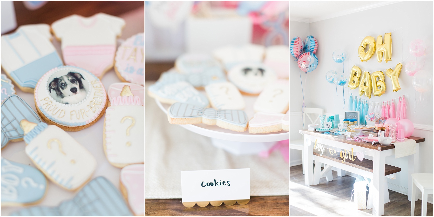 Baby Gender Reveal Party Pink or Blue Decorations