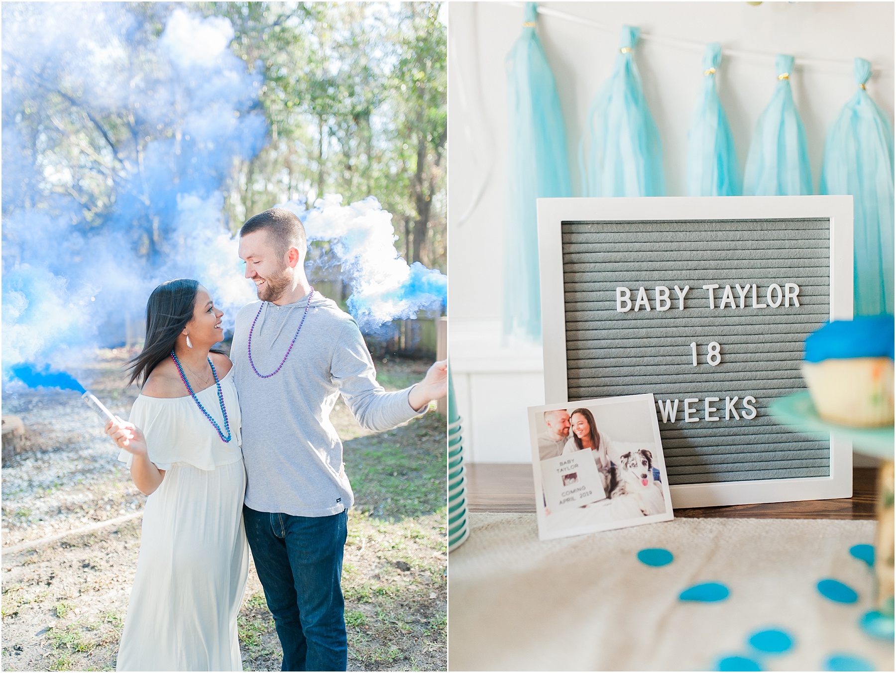 Baby Gender Reveal Party Pink or Blue Decorations