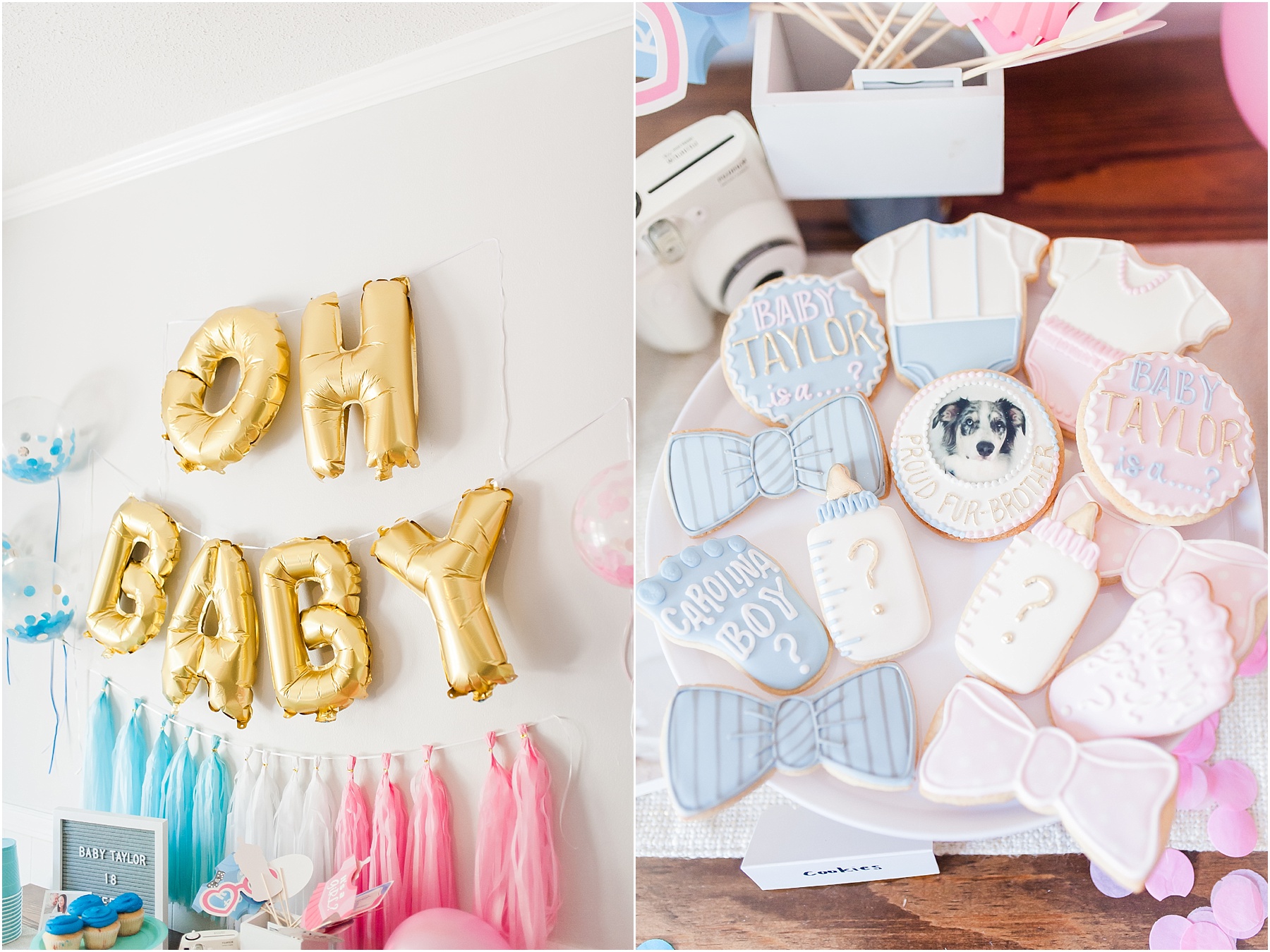 Baby Gender Reveal Party Pink or Blue Decorations