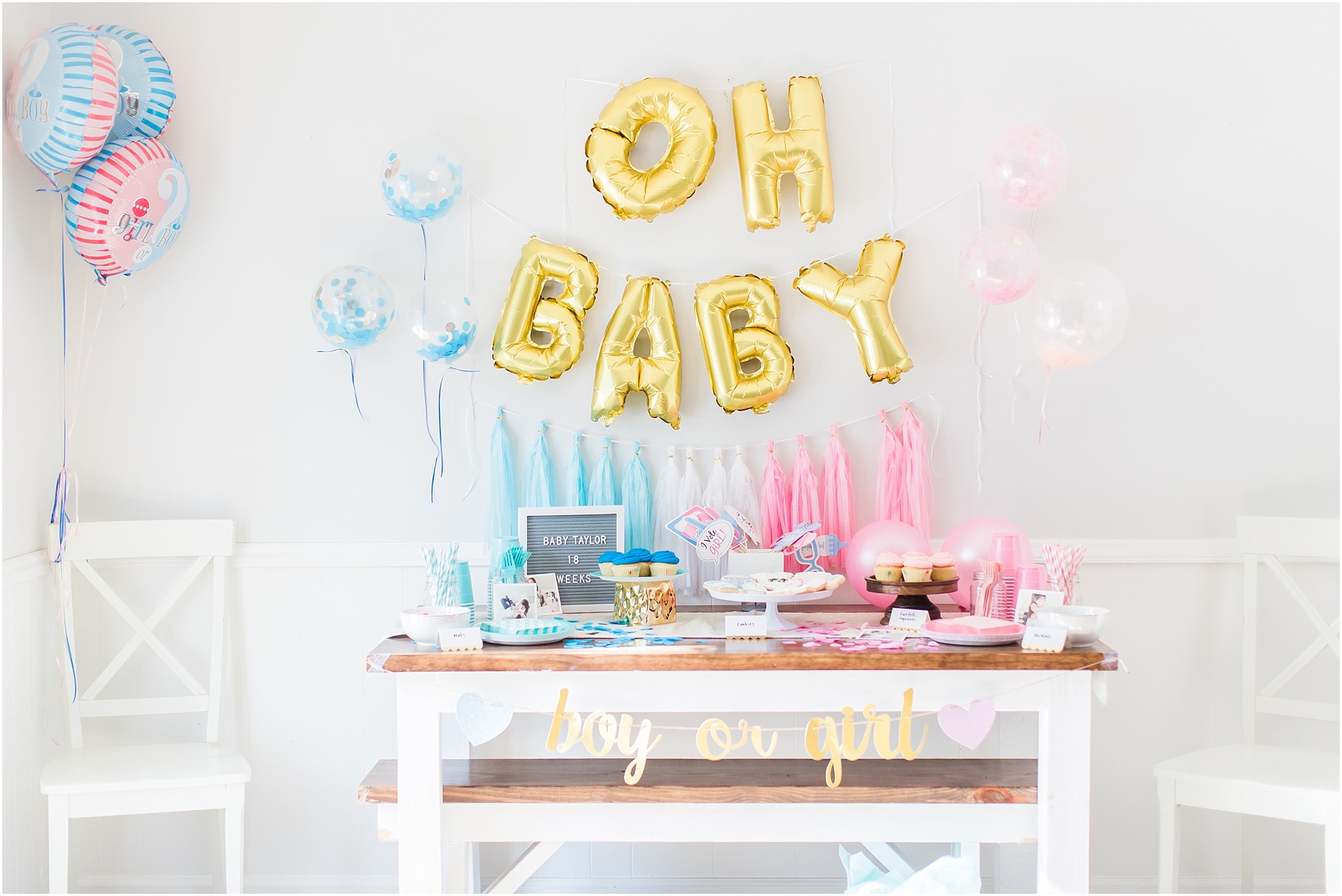 Baby Gender Reveal Party Pink or Blue Decorations