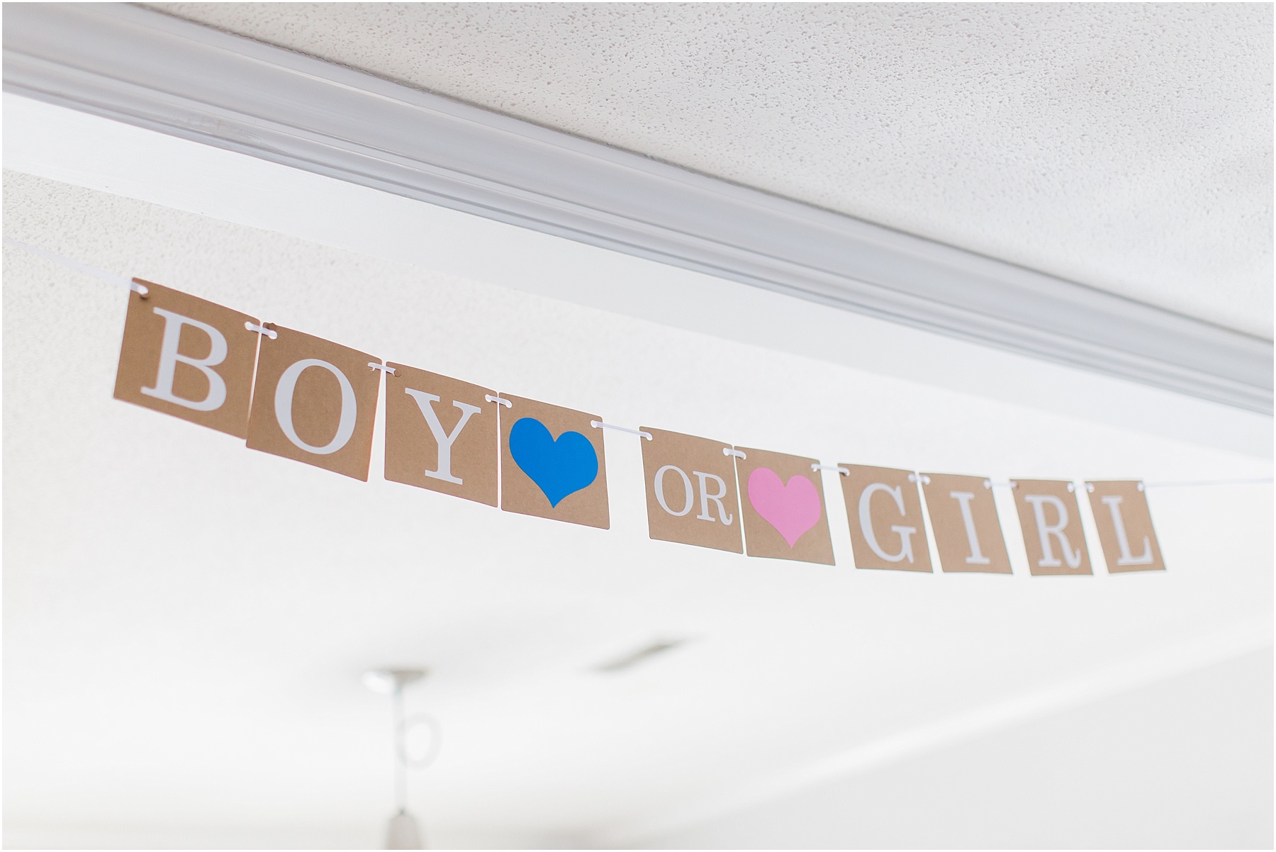 Baby Gender Reveal Party Pink or Blue Decorations