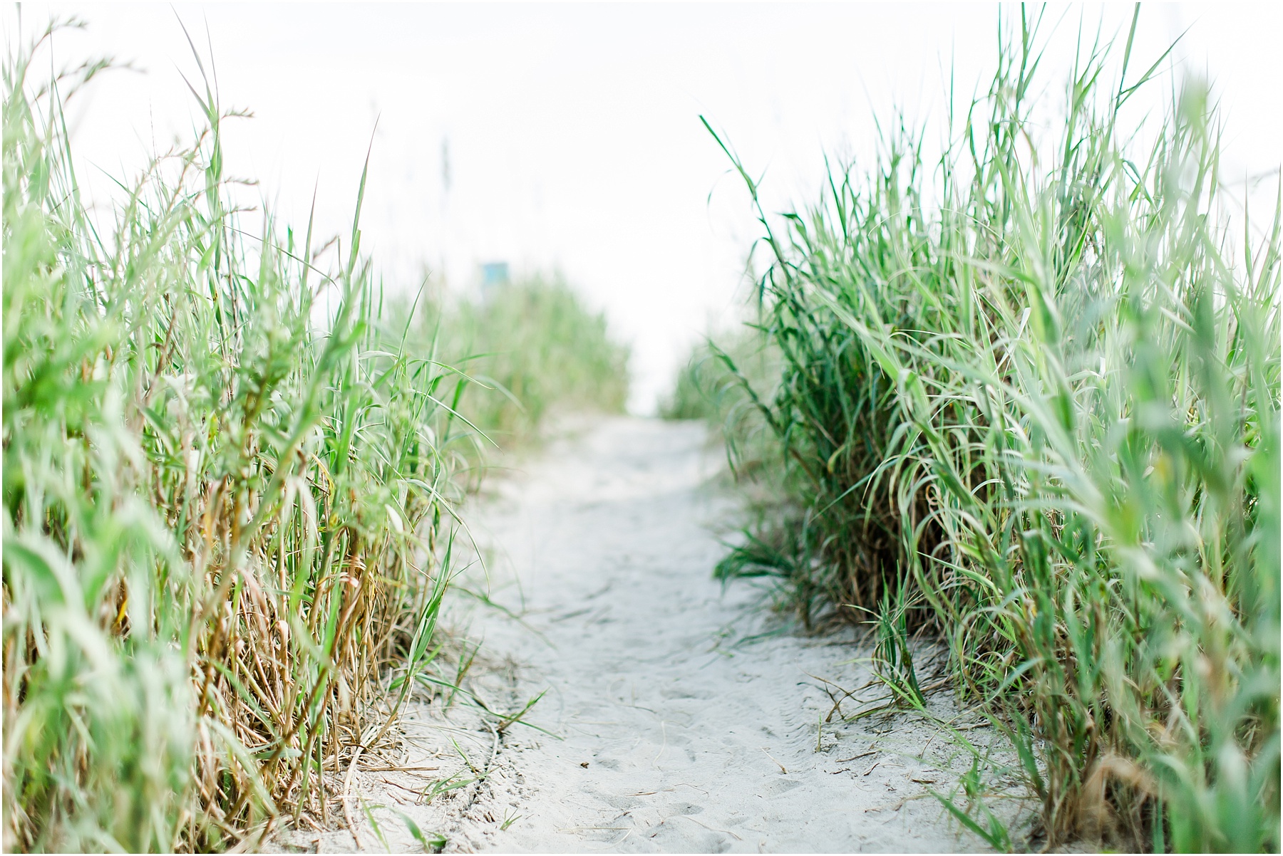 bald head island engagement session