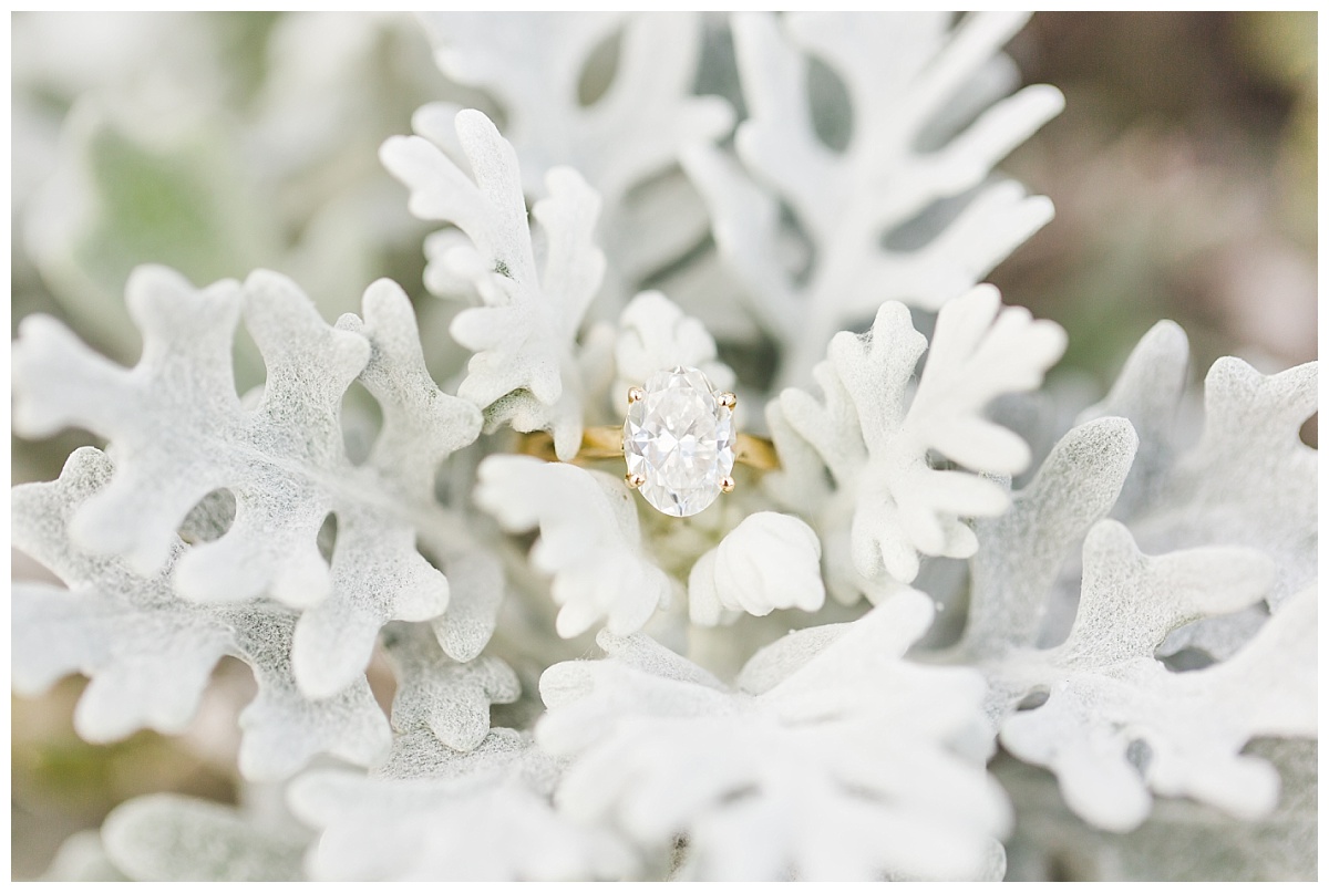 Beach Engagement Session